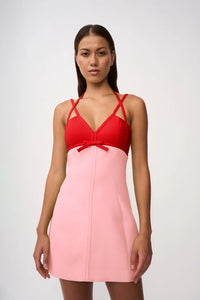 By Johnny Athena Mini Dress - Pink Red