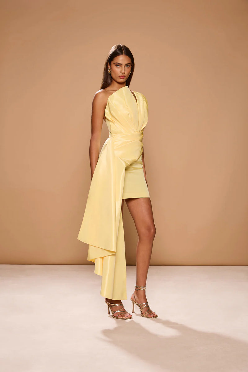Sonya Moda "Jacques" Mini Dress
