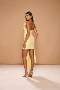 Sonya Moda "Jacques" Mini Dress