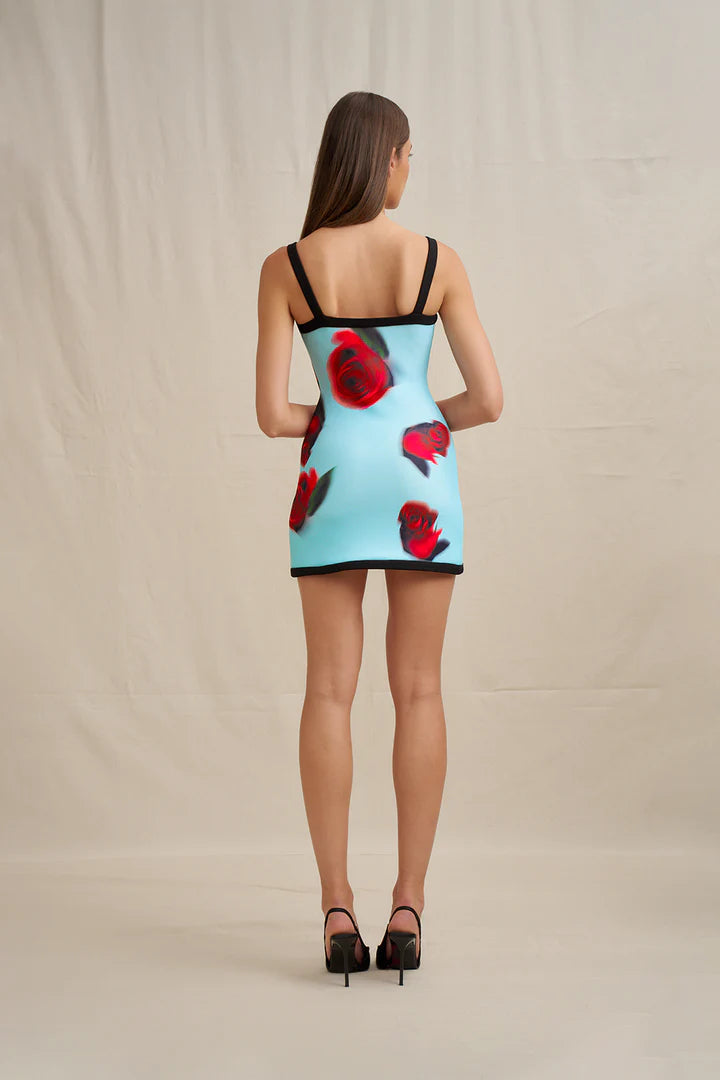 By Johnny ''Sky'' Rose Mini Dress