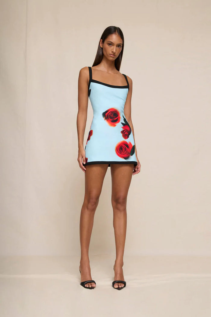 By Johnny ''Sky'' Rose Mini Dress