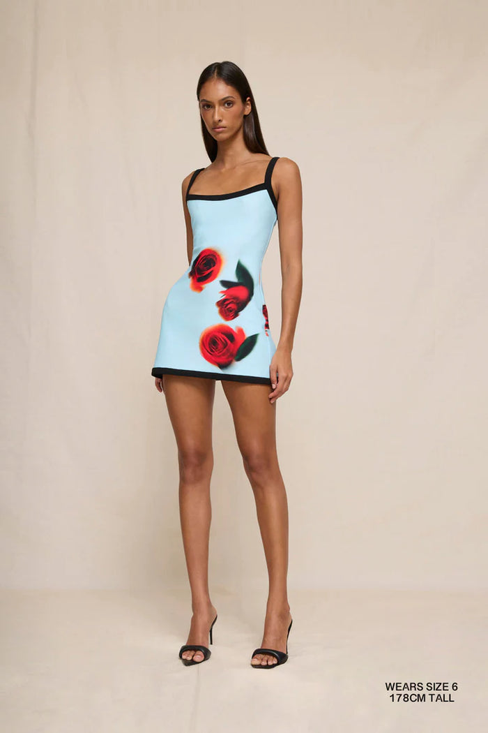 By Johnny ''Sky'' Rose Mini Dress