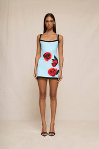 By Johnny ''Sky'' Rose Mini Dress